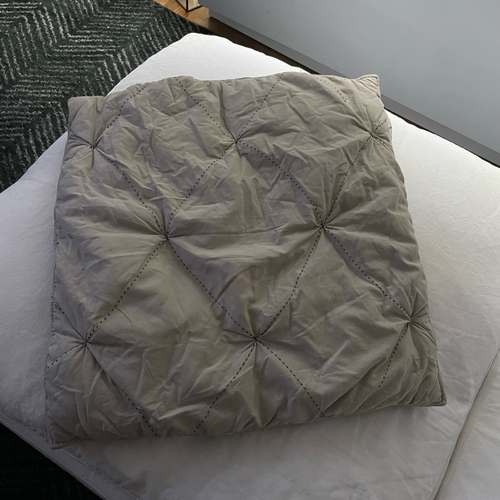 West Elm Euro Shams- 2 shams
